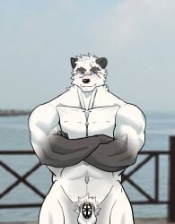 anthro barazoku bear big_muscles biped chastity_cage chastity_cage_only chastity_device chastity_device_only crossed_arms eye_scar facial_scar giant_panda luorein_klaus male mammal muscular muscular_anthro muscular_male nose_scar nude scar solo wearing_chastity_cage wearing_chastity_device