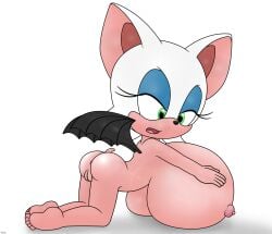helix rouge_the_bat sonic_(series) sonic_the_hedgehog_(series) tagme