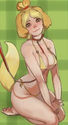 1girls 2021 animal_crossing bikini breasts cleavage collar curvy dog_humanoid female female_only isabelle_(animal_crossing) kneeling large_breasts leash leash_between_breasts looking_at_viewer mossa nintendo simple_background solo solo_female wide_hips