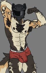 abs absurd_res african_wild_dog anthro areola arm_hair armor armpit_hair balls balls_outline beard belly belly_hair biceps big_bulge big_muscles bodily_fluids body_hair bulge canid canine chest_hair clothed clothing deltoids detailed_bulge digital_media_(artwork) ear_piercing erection erection_under_clothing eyebrow_piercing eyebrows facial_hair facial_piercing flexing fur genital_fluids genital_outline genitals hair hairs headgear helmet hi_res humanoid humanoid_genitalia humanoid_penis looking_at_viewer male mammal motorcycle_helmet moustache muscular muscular_anthro muscular_male navel navel_piercing nipples nyvel5 outronyvel pecs penis penis_outline piercing pubes quads scar serratus simple_background solo standing tail tenting thick_arms thick_thighs topless topless_anthro topless_male tuft underwear underwear_only
