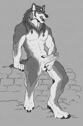 2021 abs anthro balls biped bodily_fluids braided_hair braided_mane canid canine canis cheek_tuft chest_tuft claws digitigrade dripping erection facial_tuft fangs feathers finger_claws genital_fluids genitals glans grey_background greyscale hair head_tuft hi_res humanoid_genitalia humanoid_penis inner_ear_fluff licking licking_lips male mammal miles_(miles-wolf) monochrome open_mouth pawpads penis precum precum_drip presenting presenting_penis signature simple_background sitting solo stone_wall toe_claws tongue tongue_out tribal tritscrits tuft wall_(structure) wolf