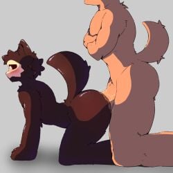 1:1 anal anal_sex animated anthro ass balls black_body black_fur blush changed_(video_game) duo fluffy fluffy_body fur genitals heart_eyes heart_symbol k0_bemy loop lube lube_on_penis male male/male penetration puro_(changed) short_playtime simple_background tail