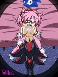 3:4 amy_rose anthro blush breath cunnilingus eating_pussy eulipotyphlan female hedgehog hi_res male male/female mammal panting rear_view roughlove69 sega shadow_the_hedgehog sonic_(series) sonic_the_hedgehog_(series)