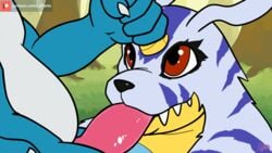 16:9 2021 ambiguous_gender ambiguous_penetrated animated anthro anthro_on_anthro anthro_penetrated anthro_penetrating anthro_penetrating_anthro bandai_namco digimon digimon_(species) duo erection gabumon genitals hand_on_horn horn horn_grab lapatte loop male male/ambiguous male_penetrating male_penetrating_ambiguous oral oral_penetration penetration penis red_eyes reptile scalie sex sharp_teeth solo_focus teeth veemon widescreen