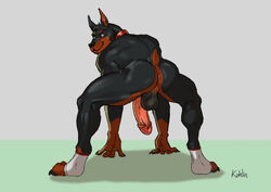 2021 5_fingers anthro anus ass athletic athletic_anthro athletic_male back_muscles backsack balls big_penis black_body black_fur black_nose brown_body brown_fur canid canine canis claws clothing collar crouching digital_media_(artwork) digitigrade dobermann domestic_dog feet fingers footwear fur genitals hindpaw humanoid_genitalia humanoid_hands humanoid_penis kahlu klaus_doberman_(character) looking_at_viewer looking_back looking_back_at_viewer male mammal mostly_nude multicolored_body multicolored_fur muscular muscular_anthro muscular_male nude paws penis perineum pinscher presenting presenting_anus rear_view shadow signature smile socks solo toe_claws toeless_footwear toeless_socks toes two_tone_body two_tone_fur