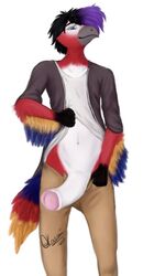 anthro ara_(genus) avian belly bird clothing dyed-hair feathers macaw male neotropical_parrot okaamiseishimi parrot scarlet_macaw shine_(character) shine_(ownfanatic60) solo tail_feathers true_parrot
