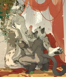anthro backsack balls black_body black_fur black_nose bodily_fluids braided_hair butt crouching domestic_cat duo erection feet felid feline felis fur genital_fluids genitals grey_body grey_fur hair hi_res humanoid_genitalia humanoid_penis kemono long_hair male male/male mammal markings milkybot nipples nude nude_anthro nude_male pantherine pawpads paws penis pointy_ears pubes snow_leopard spots spotted_body spotted_fur white_body white_fur
