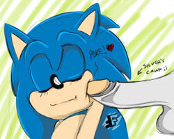 silver the hedgehog from sega by fakerface