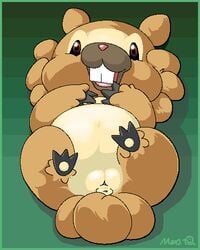 anus beige_fur bidoof brown_fur colored female female_only feral front_view fur furry furry_only lying meru nude on_back pink_nose pokemon pokemon_(species) solo tagme vulva