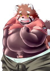 2021 ailurid anthro balls blush bottomwear clothing flaccid genitals humanoid_genitalia humanoid_hands humanoid_penis kemono male mammal orange_body overweight overweight_male pants penis red_panda simple_background solo tomoyamaru_alt underwear white_background