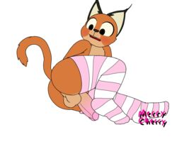 alpha_channel anthro ass balls blush caracal caracal_(genus) clothing denji denjireal digital_media_(artwork) felid feline genitals girly legwear male mammal nude open_mouth penis presenting shocked_expression simple_background solo solo_focus stockings