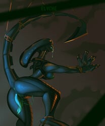 5:6 alien alien_(franchise) anthro anthrofied anus ass breasts elvche futanari genitals herm hi_res intersex penis presenting presenting_hindquarters solo xenomorph