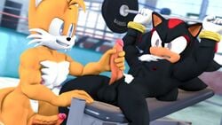 16:9 3d anthro balls barbell bench_press digital_media_(artwork) duo english_text erection exercise genitals gym handjob hi_res loafsfm male male/male muscular muscular_male nipples penile penis penis_grab sega sex shadow_the_hedgehog sonic_(series) spread_legs spreading tails text weightlifting widescreen workout