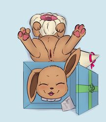 birthday_gift decapitation eevee female genitals gift gore headless hi_res mammal nintendo pokémon_(species) pokemon presenting pussy smile smirky_guy_(artist) solo video_games