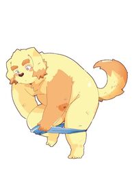 1boy anthro ass belly bird_dog blush canid canine canis clothing cu_sith_(tokyo_afterschool_summoners) domestic_dog ginsingoo1 golden_retriever hunting_dog lifewonders male male_focus male_only mammal nude overweight retriever solo solo_male tokyo_afterschool_summoners underwear_around_legs undressing video_games