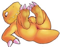 agumon anthro anus balls bandai_namco blush claws conditional_dnp digimon digimon_(species) feet genitals looking_aside lying male male_only on_back orange_body simple_background soles solo white_background zackary911