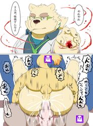 2021 anal anal_sex anthro aosano_tenpura ass balls bodily_fluids canid canine canis clothing comic cu_sith_(tokyo_afterschool_summoners) cum domestic_dog double_anal double_penetration erection eyewear from_front_position genital_fluids genitals glasses group hi_res humanoid_genitalia humanoid_hands humanoid_penis instant_loss_2koma jambavan japanese_text kemono leib_(tokyo_afterschool_summoners) lifewonders male male/male mammal mating_press necktie overweight overweight_male penetration penis polar_bear sex shirt smoking text tokyo_afterschool_summoners topwear translated twitching ursid ursine video_games