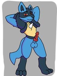 animal_genitalia animal_penis anthro canine_penis erection furry furry_only genitals hi_res humanoid lucario male male_only nintendo ori-doggo penis pokemon pokemon_(species) pose sheath smug_face solo solo_focus video_games