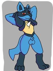 animal_genitalia anthro fluffy furry furry_only genitals hi_res lucario male male_only nintendo ori-doggo penis pokemon pokemon_(species) pose sheath solo solo_focus video_games