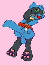 adult_male anus bondage bondage bound fan_character hi_res male male/male nintendo ori-doggo paws pokémon_(species) pokemon presenting_male puffy_anus raised_tail riolu solo solo_focus video_games