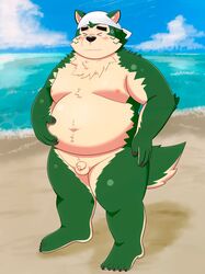 2021 absurd_res anthro balls beach belly black_nose blush canid canine canis closed_eyes domestic_dog edit flaccid fur genitals green_body green_fur hi_res humanoid_hands kemono lifewonders live-a-hero male mammal mokdai moobs navel nipples outside overweight overweight_male penis seaside small_penis solo uncensored video_games water yaki_atsuage