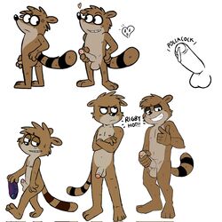 1:1 anthro balls cartoon_network genitals hi_res humanoid_genitalia humanoid_penis male male_only mammal masturbation penile penile_masturbation penis procyonid raccoon regular_show rigby_(regular_show) simple_background simplepossum white_background