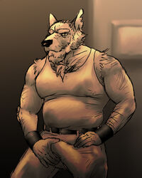 2021 anthro arm_hair beard belly belt biceps big_bulge biped body_hair bottomwear bracelet bulge canid canine canis clothed clothing digital_drawing_(artwork) digital_media_(artwork) domestic_dog erection erection_under_clothing eyebrows facial_hair fully_clothed fur genital_outline grey_body grey_fur holding_bulge jewelry looking_at_viewer male mammal musclegut muscular muscular_anthro muscular_male notched_ear overweight overweight_anthro overweight_male pants pecs penis_outline pinup pose schnauzer shirt simonsbathtub solo tank_top topwear