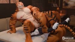 3d animated anthro artist_name bed bisexual blue_plate_special deepthroat face_fucking female furry head_grab huge_balls huge_cock leg_grab loona_(helluva_boss) loop male male/female male/female/male male/male multiple_boys multiple_males muscular muscular_male nude on_bed operculum oral_penetration rimjob rimming size_difference tagme tiger_dancer_(valorlynz) tiger_dancer_(zootopia) unseen_female_face vaginal_penetration video web_address zootopia