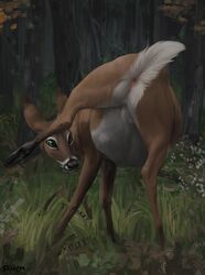 2021 anus balls brown_body brown_fur cervid day detailed_background difetra digital_media_(artwork) feral forest fur genitals grass green_eyes hi_res hooves male mammal outside plant solo tree