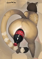 2021 anal anal_masturbation anal_sex anal_storage anthro anus ass ass_up bent_over beverage beverage_can big_butt biped blowup_background bottle bottle_in_ass bottle_insertion brown_body brown_fur brown_hair coca-cola digital_media_(artwork) domestic_cat felid feline felis female female_focus female_only fur hair helia_peppercats_(wrinklynewt) hi_res hungry_anus improvised_sex_toy large_insertion leaning leaning_forward mammal markings masturbation mmmmmkun multicolored_body multicolored_fur nude object_in_ass original original_character penetration presenting presenting_anus presenting_hindquarters simple_background soda_bottle solo standing stretched_anus striped_markings striped_tail stripes tail_markings