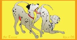 101_dalmatians 2009 animal_genitalia animal_penis animal_vulva anus ass_up balls bodily_fluids canid canine canine_genitalia canine_penis canine_vulva canis canon_couple closed_eyes collar cunnilingus dalmatian digital_media_(artwork) disney domestic_dog dripping duo feet female feral feral_on_feral fur genitals half-erect hi_res klaus_doberman male male/female mammal markings oral paws penis perdita pongo saliva saliva_drip saliva_string sex simple_background spots spotted_body tail toes tongue tongue_out vaginal_penetration vulva white_body white_fur
