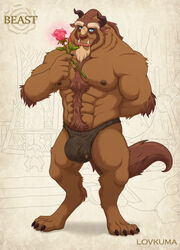 1boy abs anthro beast_(disney) beauty_and_the_beast bulge clothing disney flower hi_res lovkuma male male_only mammal nipples plant rose_(flower) solo torn_clothing underwear