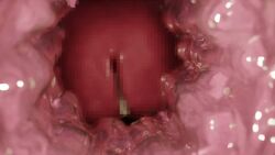 3d animated big_penis censored cum cum_in_pussy cum_in_uterus cum_inside ejaculation erect_penis erection female huge_cock impregnation inside_view internal_view intravaginal_penis inui_(shirakawa777) large_penis male mp4 no_sound penetration penis penis_in_pussy pov pussy sex tagme thick_penis uterus uterus_penetration vaginal_penetration vaginal_sex video womb womb_penetration x-ray x-ray_only
