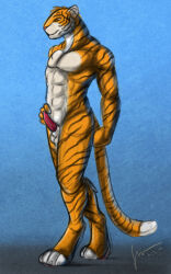 2015 5:8 abs animal_genitalia anthro balls blue_background brown_eyes dated erection facial_markings felid full-length_portrait fur genitals hand_on_hip head_markings hi_res hufnaar male male_anthro mammal markings mouth_closed muscular muscular_anthro muscular_male nude orange_body orange_fur pantherine pecs penis portrait red_penis sheath signature simple_background solo standing striped_arms striped_body striped_face striped_fur striped_legs striped_markings striped_tail stripes tail tail_markings tapering_penis tiger whiskers white_balls white_body white_fur white_sheath