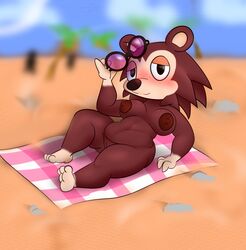 absurd_res alternate_breast_size animal_crossing anthro beach blush breasts brown_nipples eulipotyphlan eyewear eyewear_removed female fuzefurry genitals hedgehog hi_res looking_at_viewer mammal nintendo nipples pussy sable_able sand seaside solo sunglasses sunglasses_removed tagme video_games