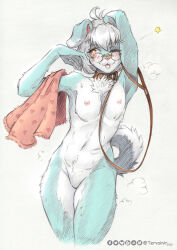anthro areola blep blue_body blue_fur blush bodily_fluids breasts canid canine canis collar curled_tail domestic_dog eyewear female floppy_ears fluffy fluffy_tail fur genitals glasses hair hi_res leash leashed_collar mammal navel nipples nude orange_eyes pink_areola pink_nipples pink_tongue solo star_symbol steam sweat tail tervainir tongue tongue_out towel vulva wearing_glasses white_hair