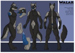 2015 abs absurd_res animal_genitalia animal_penis anthro athletic athletic_anthro athletic_male balls black_body black_fur black_tail blue_eyes blue_nose blue_penis bodily_fluids canid canine canine_genitalia canine_penis cum cum_on_own_penis cum_on_penis cum_on_self dated fangs front_view fur genital_fluids genitals grey_balls grey_body grey_fur grey_hair grey_tail hair hi_res hufnaar knot looking_at_viewer male male_anthro mammal model_sheet mouth_closed nude open_mouth pecs penis penis_tip rear_view short_hair side_view signature solo standing tail teeth walar