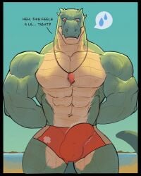 2025 abs absurd_res anthro balls_outline beach biceps big_bulge big_muscles bodily_fluids bulge clothing crocodile crocodilian deltoids detailed_bulge dialogue digital_media_(artwork) embarrassed english_text front_view genital_outline hands_behind_back hi_res lifeguard male muscular muscular_arms muscular_male muscular_thighs musuclar_anthro navel nipples non-mammal_nipples outside pecs portrait red_clothing red_speedo red_swimwear reptile rolenzoart scales scalie serratus sky solo speedo standing sweat sweatdrop swimwear text three-quarter_portrait trapezius ventral_scales whistle_around_neck