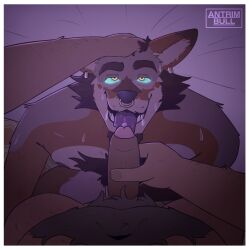 anthro antrimbull bear beard bed bedroom_eyes belly_hair bodily_fluids body_hair border brown_hair canid canine canis chest_hair coyote duo ear_piercing ear_ring erection facial_hair facial_piercing first_person_view foreskin furniture genitals glans glowing glowing_eyes hair hairy hi_res humanoid_genitalia humanoid_penis imminent_oral imminent_sex looking_at_viewer male male/male mammal narrowed_eyes nose_piercing nose_ring penis piercing purple_tongue ring_piercing seductive septum_piercing septum_ring sweat sweatdrop tongue tongue_out ursine vein veiny_penis white_border yellow_eyes