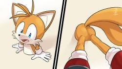 ass fox_boy furry seen023hey sonic_(series) sonic_the_hedgehog_(series) stuck tails_the_fox