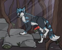 animal_genitalia animal_penis balls blue_eyes bodily_fluids canid canine canine_genitalia canine_penis canis darko_fur dripping erection feral forest_background fur genital_fluids genitals hi_res knot knotted_penis leaking_precum looking_at_viewer lupus_carnifex male mammal multicolored_body multicolored_fur paws penis precum precum_drip precum_string presenting raised_leg sheath solo wolf