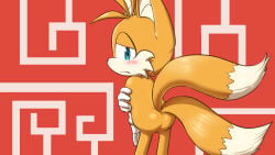 2_tails ass cub seen023hey sonic_(series) sonic_the_hedgehog_(series) tails_the_fox