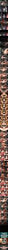 after_anal after_sex after_vaginal airtight artist_request bdsm big_ass big_dom_small_sub big_penis blowjob blush breast_grab bubble_ass bubble_butt camera cervix cervix_kiss completely_nude covered_in_cum cum_dump cum_in_mouth cum_in_throat cum_overflow cum_swallow cumdump cumming dat_ass deepthroat double_penetration ejaculation erect_penis erection excessive_cum face_fucking fat_male fellatio female femsub forced forced_anal forced_oral forced_orgasm forced_sex from_behind_position fucked_senseless gag gagged gangbang gangrape group group_sex handcuffs head_grab height_difference horny huge_ass huge_cock irrumatio kidnapped large_ass large_penis legs_apart lube lube_bottle lube_drip male maledom missionary missionary_position motion_lines mouth_gag multiple_boys multiple_images muscular muscular_male nude_female nude_male open_mouth open_mouth_gag oral oral_penetration oral_sex pixiv pleasure_face rape recording recording_video restrained restrained_arms restraints rough_sex size_difference sole_female splits spread_legs surrounded surrounded_by_men surrounded_by_penises suspension swallowing swallowing_cum sweat sweatdrop sweating sweaty_body thick_penis throat_fuck thrusting thrusting_into_ass thrusting_into_mouth thrusting_into_pussy tied tied_hands tied_up ugly_bastard x-ray
