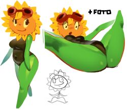 solar flare (pvz) from plants vs zombies by bingledingus