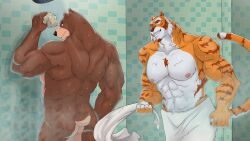 abs anthro ass bathing bathing_together bear billy_(furlough_games) brown_body brown_fur butt_slap duo erect_nipples felid feline fur furlough_games furry_shades_of_gay hi_res legless_dog male male/male mammal markings muscular muscular_anthro muscular_male nipples nude orange_body orange_fur pantherine pink_nipples public public_nudity shower_room showering simple_background slap smile smiling_at_another smiling_at_partner striped_body striped_fur striped_markings striped_tail stripes tail tail_markings tiger towel towel_only towel_wrap vance_(furlough_games) wet wet_body wet_fur
