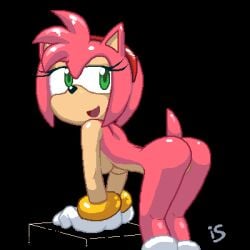 amy rose from sega by hotred