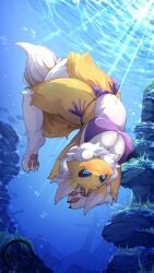 digimon (species) from bandai namco by hinata sakamoto