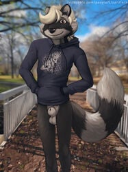 absurd_res animal_genitalia anthro balls bottomless clothed clothing corey fall_(disambiguation) fuzz fuzzy gene genitals girly hi_res hoodie hyaenid lizardlars male male_only mammal outside park penis procyonid public raccoon sheath solo topwear