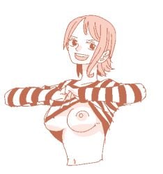 breasts female female_only isami_meena large_breasts nami nami_(one_piece) nipples one_piece shirt_lift shirt_lifted_by_self tagme