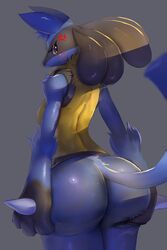 anger_vein angry anthro anthrofied ass big_ass bubble_ass bubble_butt canine female fur furry furry_only game_freak hand_on_ass hopping4 huge_ass looking_back lucario nintendo pokemon pokemon_(species) solo tagme tail